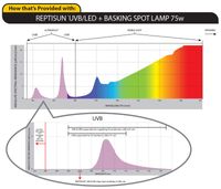 Complete-Electromatic-Spectrum-Chart-How-Provided-with-Basking